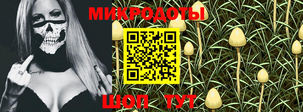 Калач-на-Дону  Галлюциногенные грибы Psilocybine cubensis  Вход с VPN 